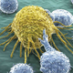 Artist’s depiction of immune cells attacking a cancer cell. (Image: Diamond Light Source UK)